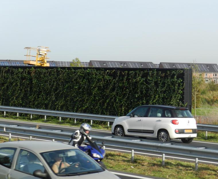 Groene geluidsbescherming