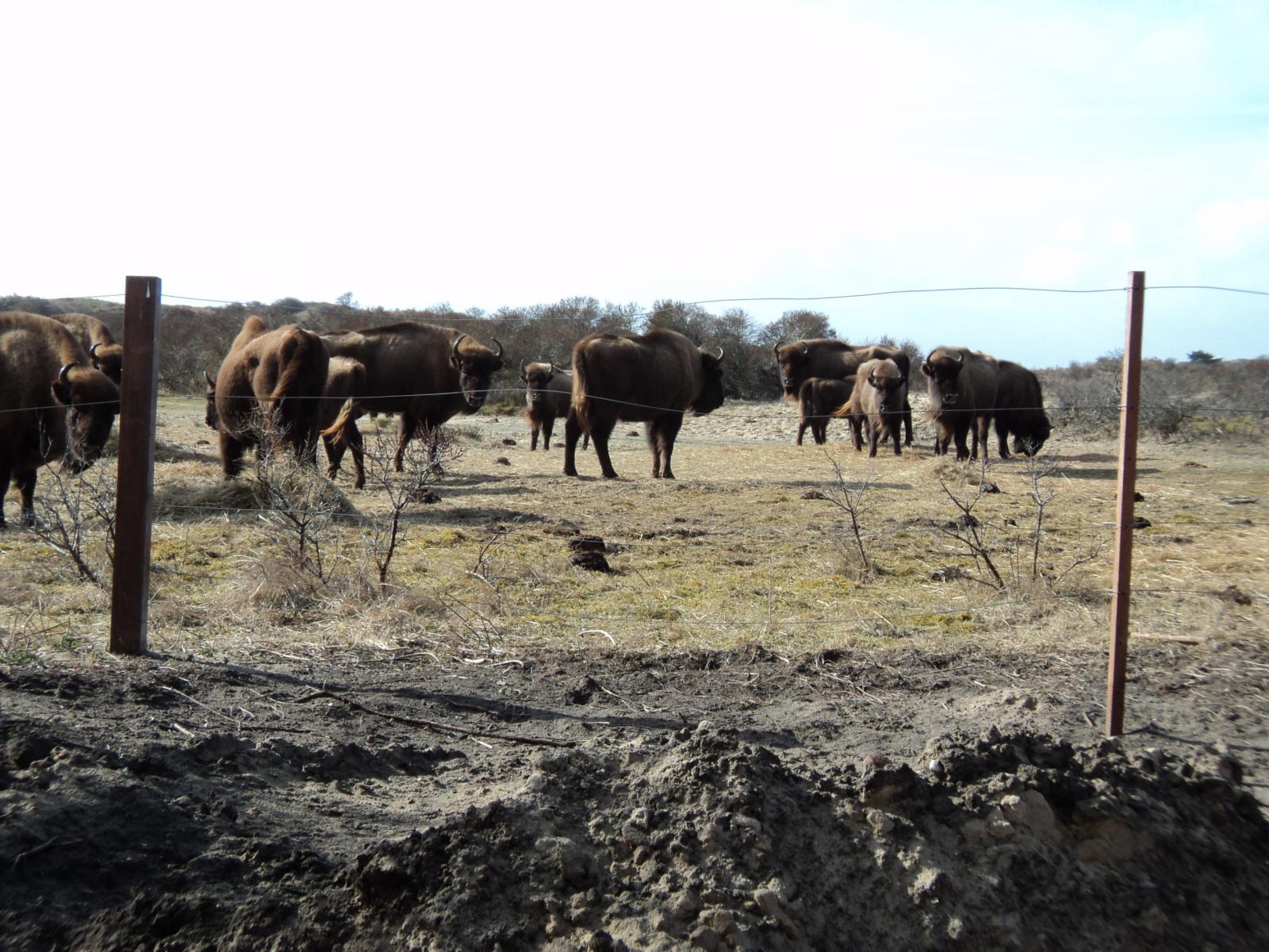 Verzinken stalen delen wisentenkraal Rotocoat