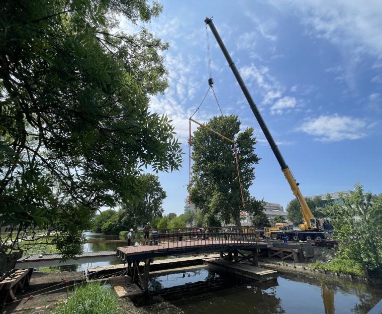Project Amerikavaart in Haarlem