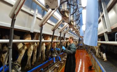 Agrarisch en stallenbouw