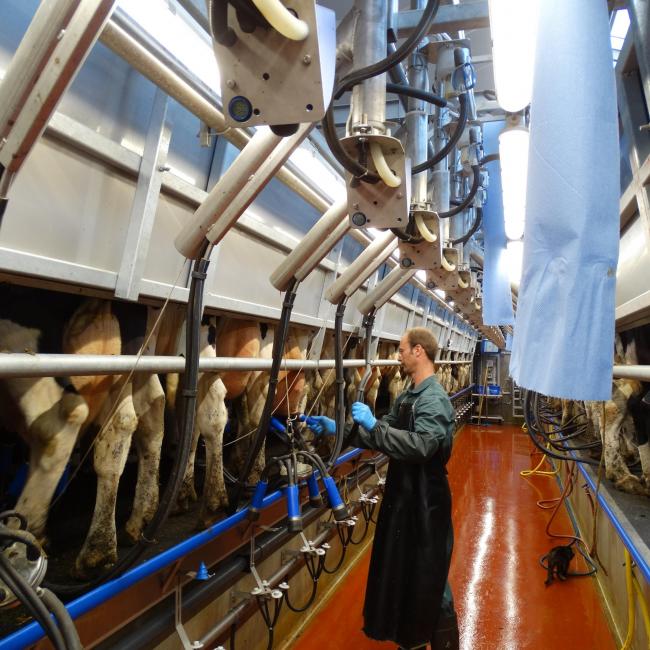 Agrarisch en stallenbouw