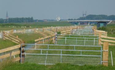 Industriële hekwerken