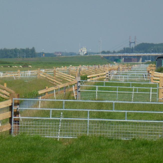 Industriële hekwerken