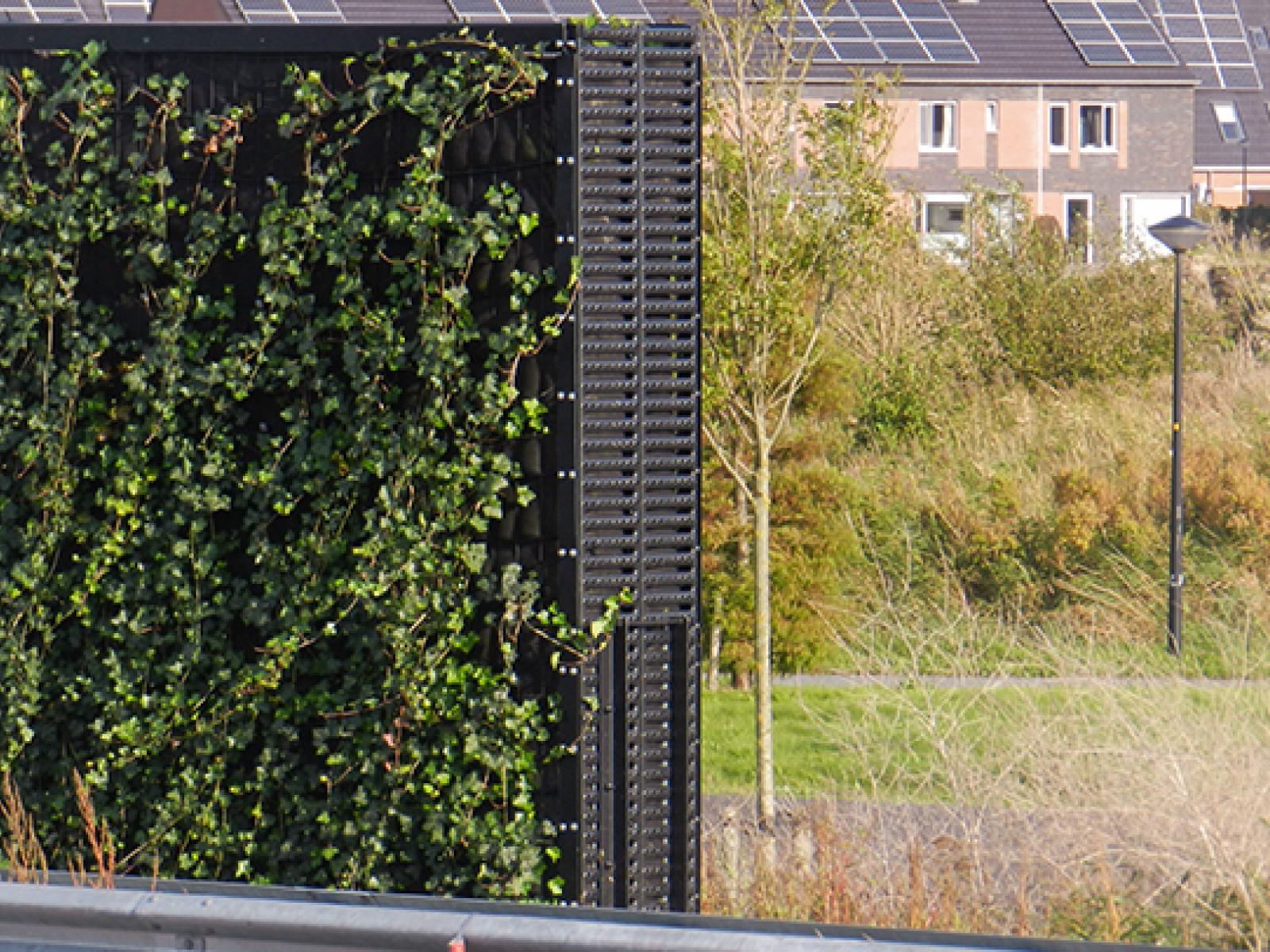 Verzinkte gecoate duplex geluidsbescherming Rotocoat